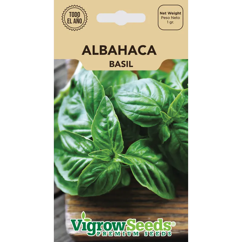 Semilla de Albahaca