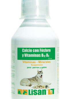 CALCIO FOSF.VIT.B12 D3 x 173ml