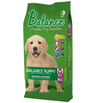 Balance  Puppy Raza Grande (Belina )