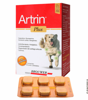 Artrin Plus Palatable T