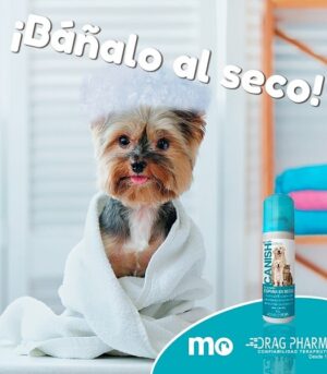 Canish Espuma  Shampoo Seco (pc)